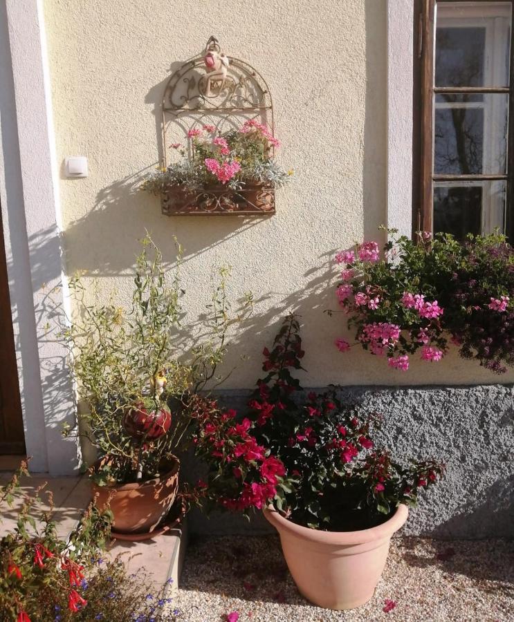Marta'S House Bled Exterior foto
